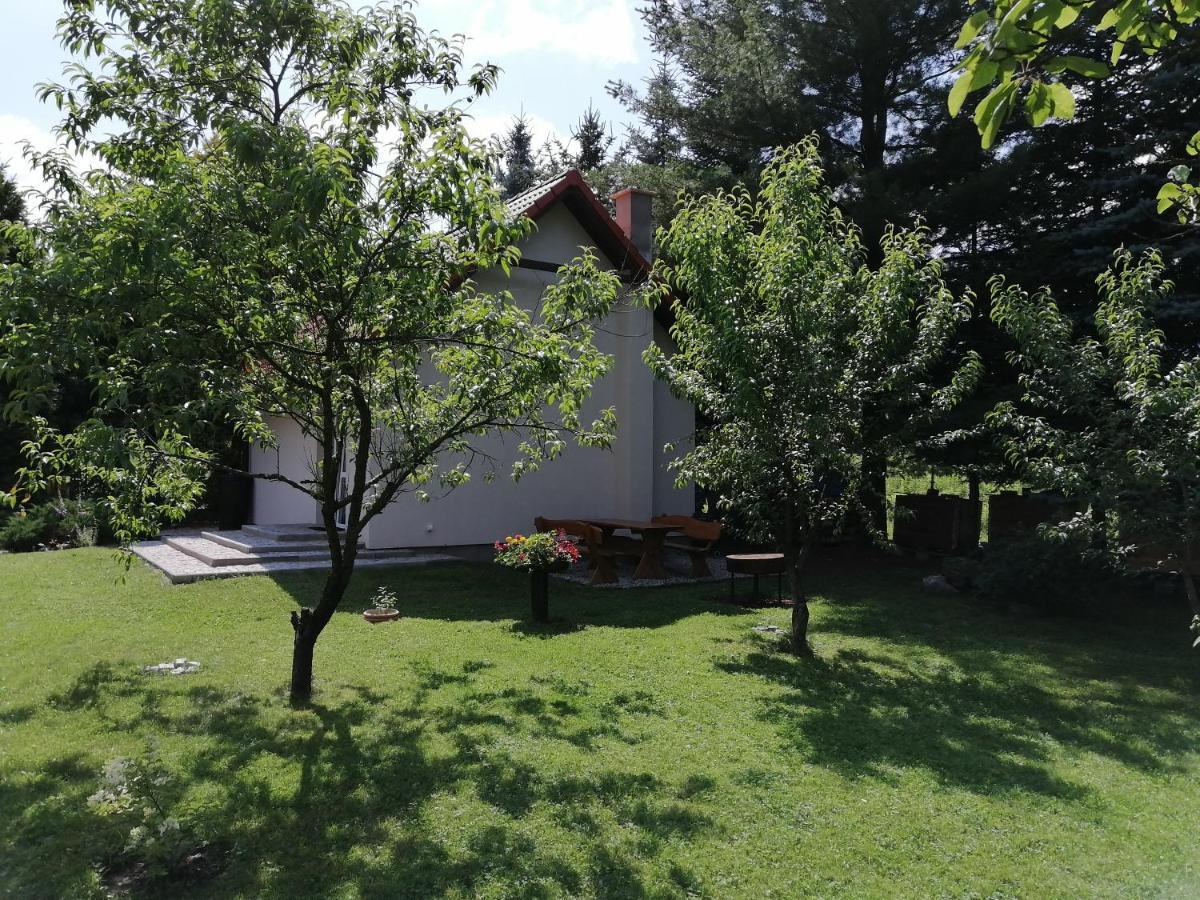 Domek Pod Karpaczem Myslakowice Exterior photo